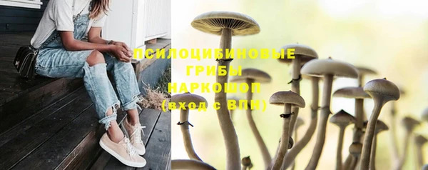 ALPHA-PVP Арсеньев