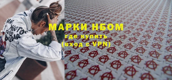 хмурый Губаха